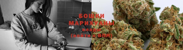 mdpv Гусев