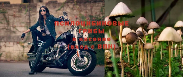 mdpv Гусев