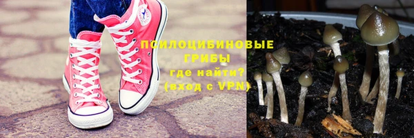 mdpv Гусев